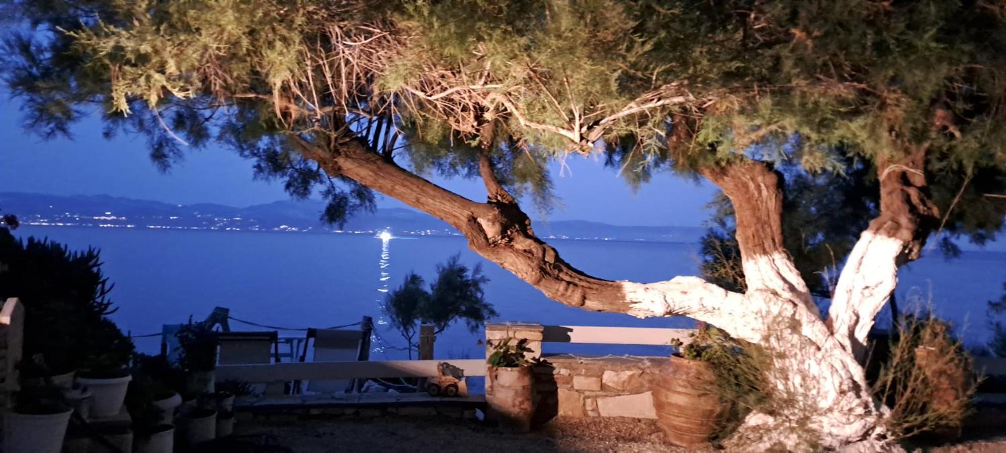 Dinas Inn Píszo Livádi Kültér fotó